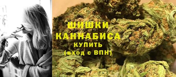 ПСИЛОЦИБИНОВЫЕ ГРИБЫ Арсеньев