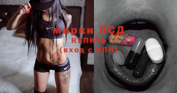 ПСИЛОЦИБИНОВЫЕ ГРИБЫ Арсеньев