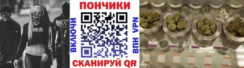 наркошоп  Томмот  Конопля SATIVA & INDICA 